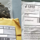 Imagen para el artículo titulado Lo que hicieron algunos estadounidenses con las misteriosas semillas chinas que no debían plantar